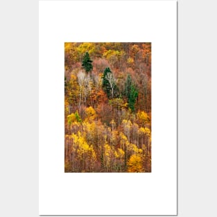 Autumn on Pieria mountains Posters and Art